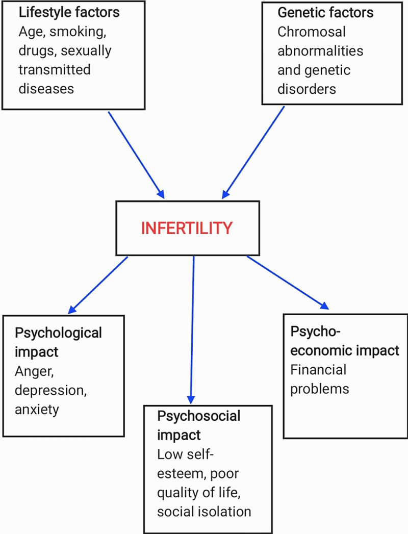 Understanding The Influence Of Stress On Fertility